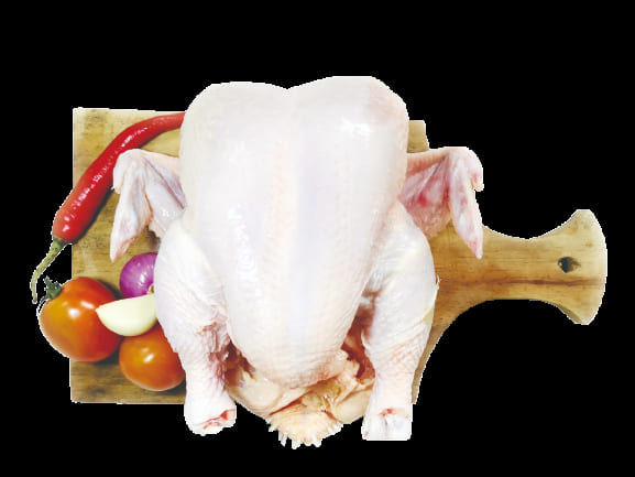 Kulit Ayam